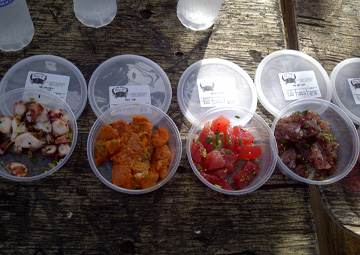 Poke Samples